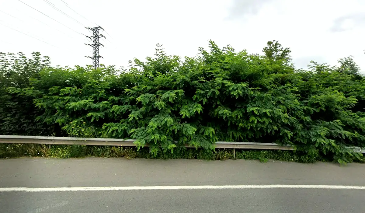 Oficina de Correos Oficina de Correos Bilbao Kalea Plentzia