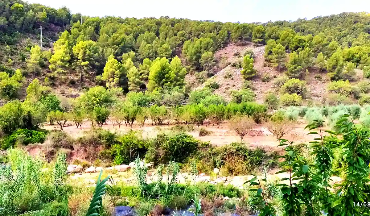 Oficina de Correos Oficina de Correos Plaza Maestro Lizon Olocau