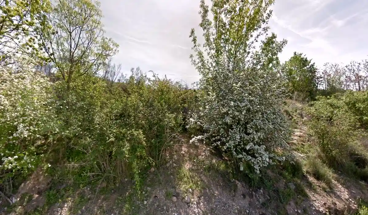 Oficina de Correos Oficina Rural Correos C/ El Portal Torrebeses