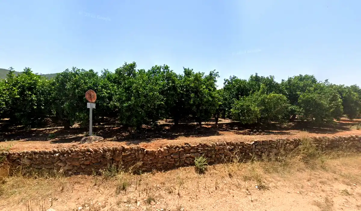 Oficina de Correos Oficina Rural de Correos Calle Hermenegildo Monleón Montesa